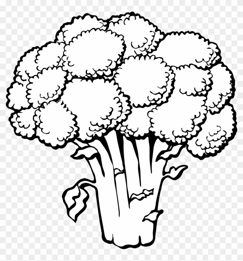 broccoli clipart coloring page