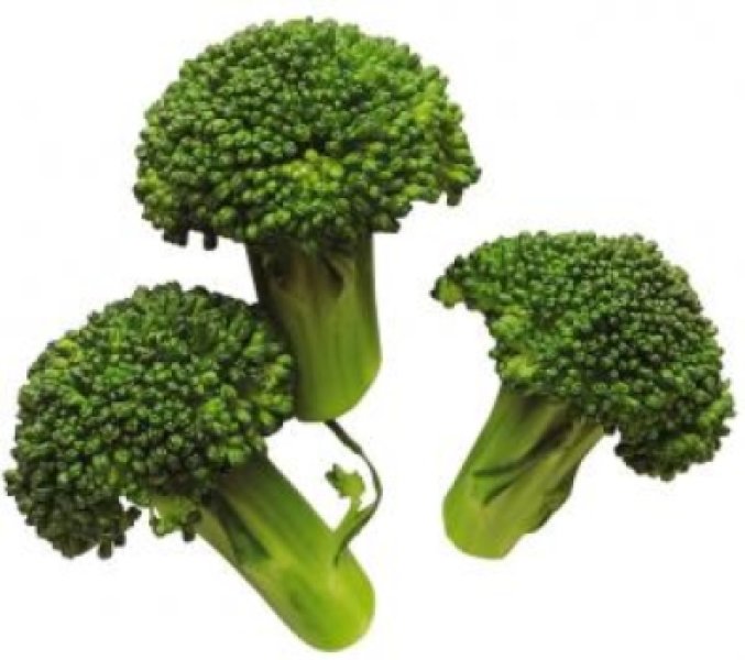 broccoli clipart cooked