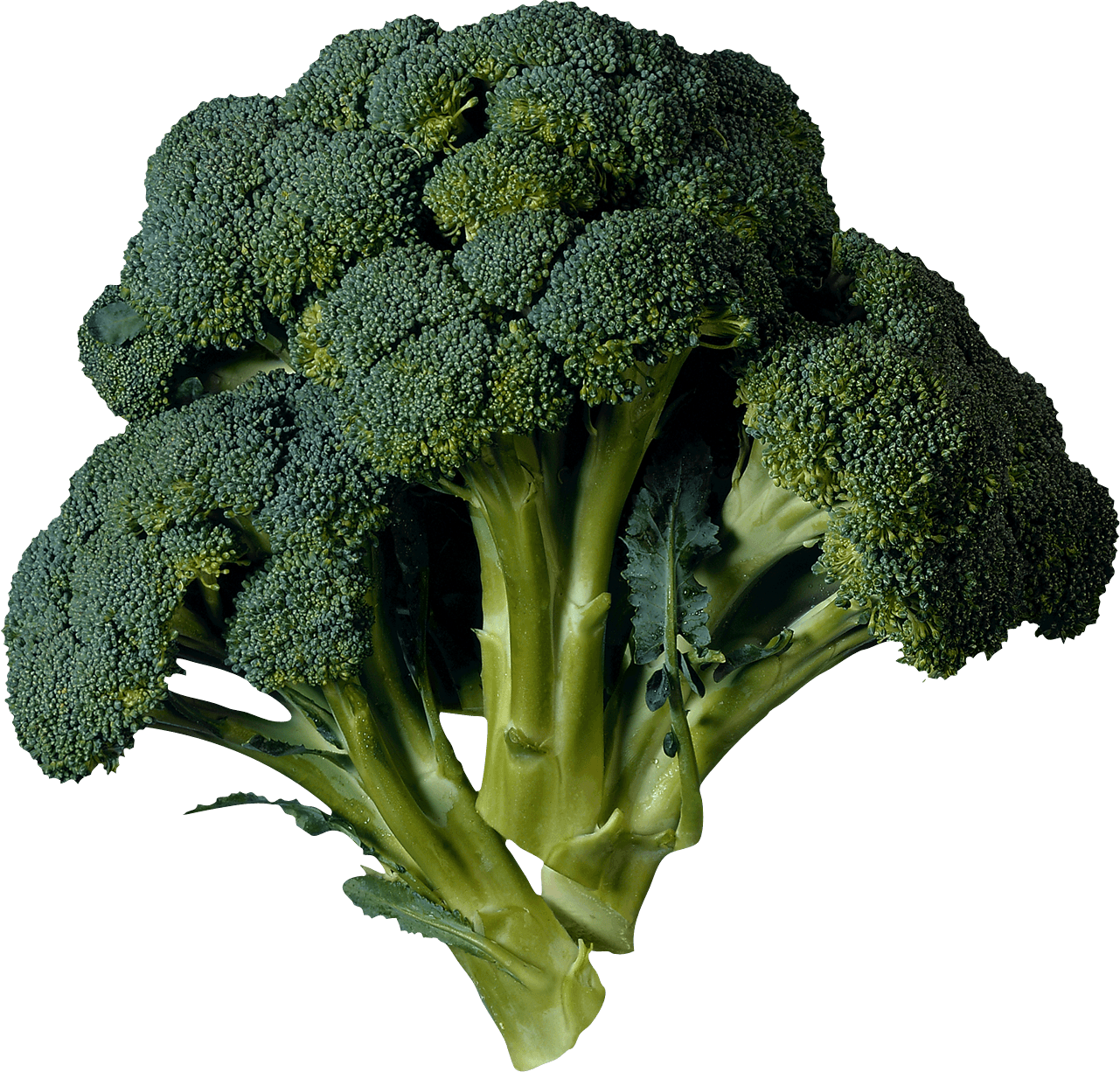 Dark green transparent png. Clipart vegetables broccoli