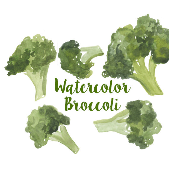 broccoli clipart draw