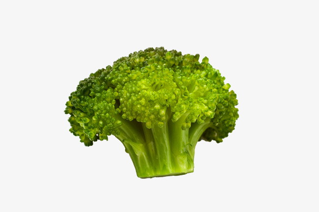 Broccoli clipart green broccoli. Organic vegetable hd vegetables