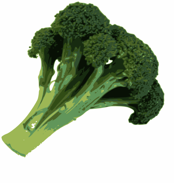 Clip art at clker. Broccoli clipart green broccoli