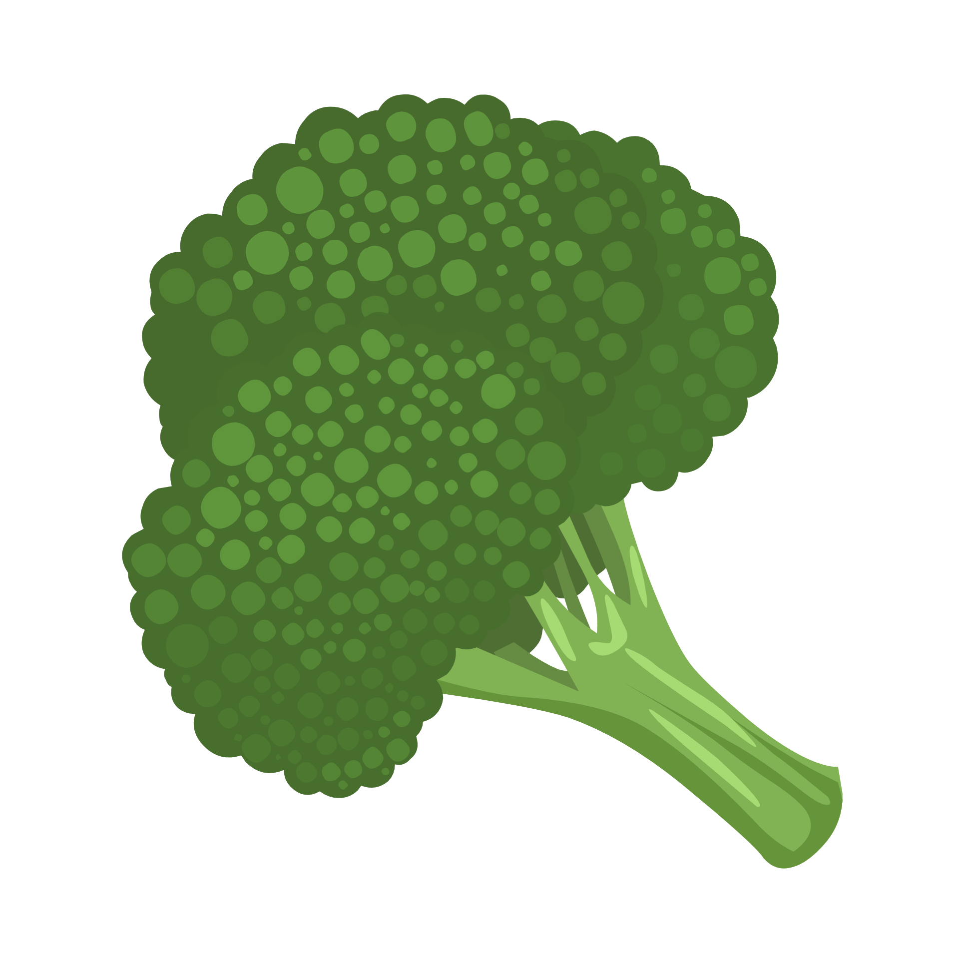Broccoli clipart green broccoli, Broccoli green broccoli Transparent