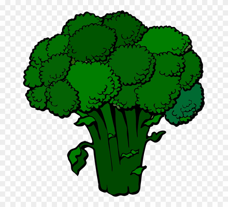 Download clip art png. Broccoli clipart green broccoli