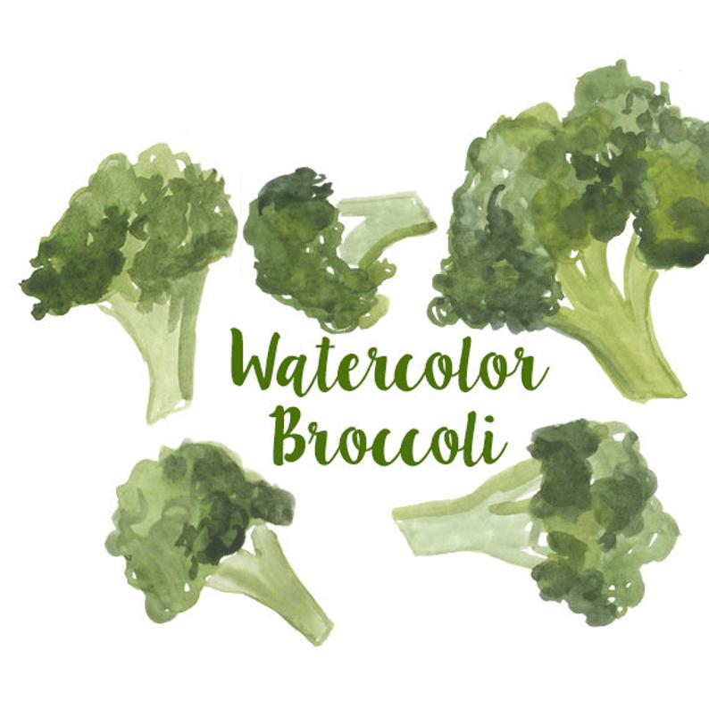 Broccoli clipart green food. Watercolor clip art set