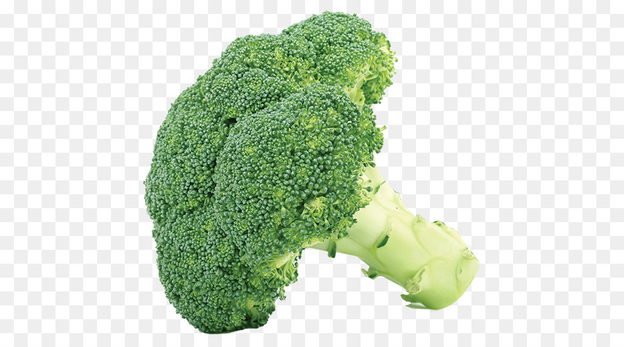 Broccoli clipart green food. Cabbage vegetable cauliflower clip