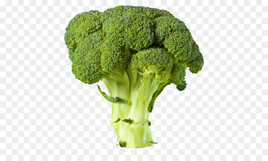 Broccoli clipart green food. Vegetable clip art png