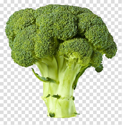 Broccoli clipart green food. Tree transparent background png