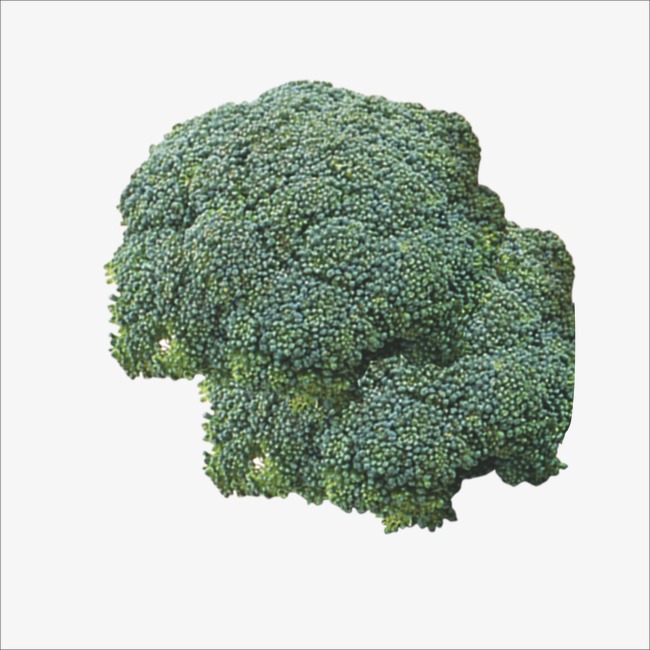 broccoli clipart green veg