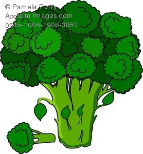 broccoli clipart kid