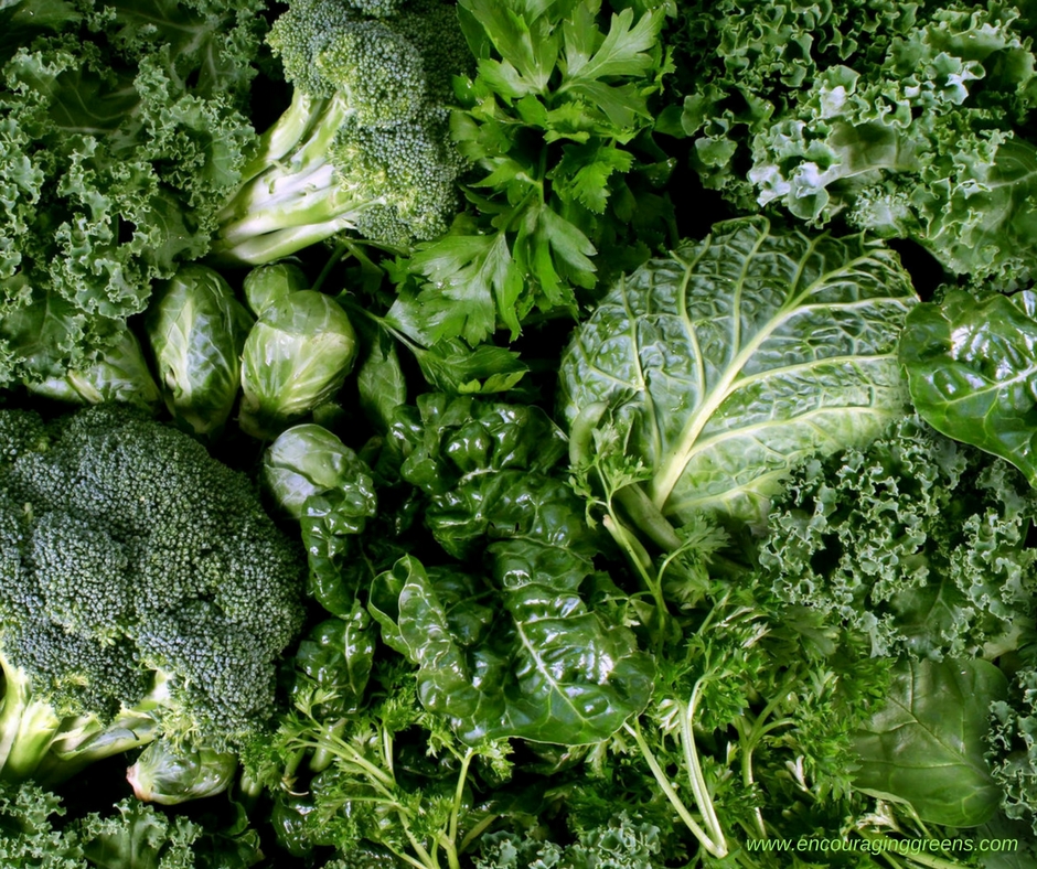 broccoli clipart leafy vegetable