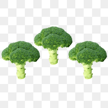 broccoli clipart makanan