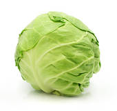 cabbage clipart sitaw