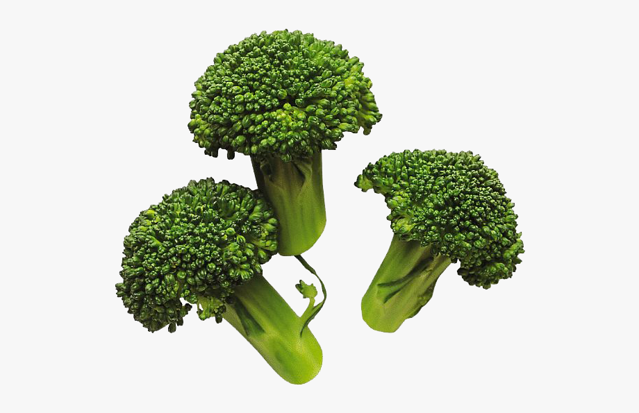 broccoli clipart steamed