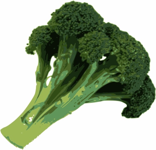 broccoli clipart svg