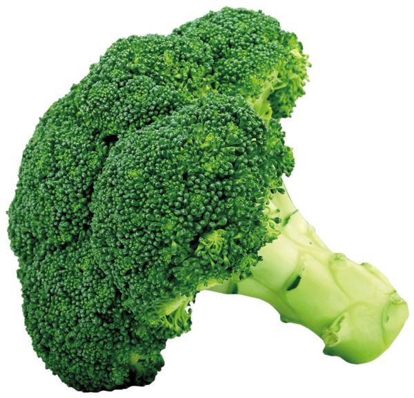  best fruit and. Broccoli clipart talking
