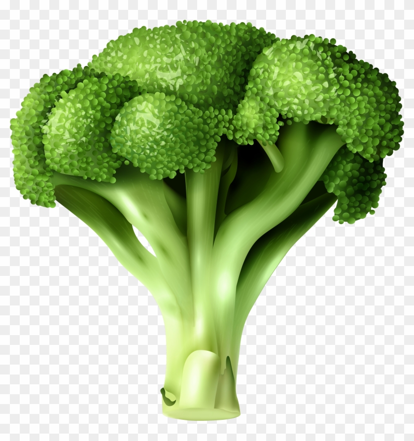 Png clip art . Broccoli clipart transparent background