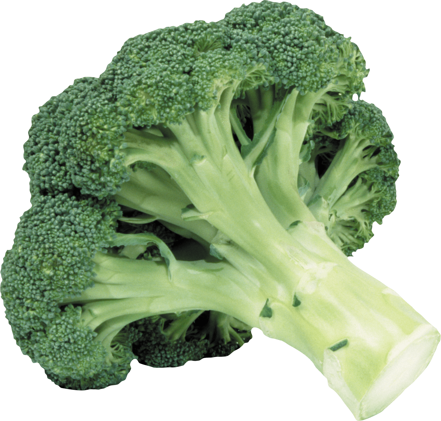Clipart vegetables broccoli. Transparent png stickpng