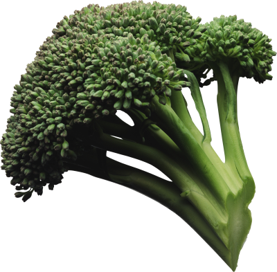 Broccoli clipart transparent background. Gallery isolated stock photos