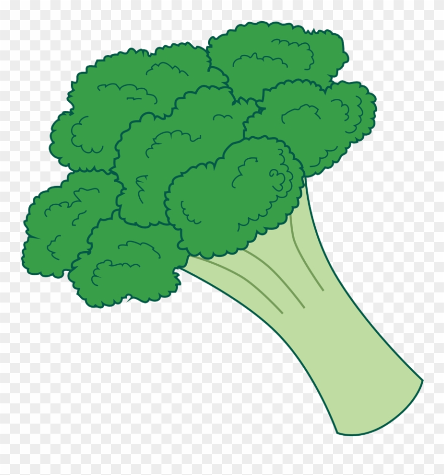 Broccoli clipart transparent background. Clip arts related to