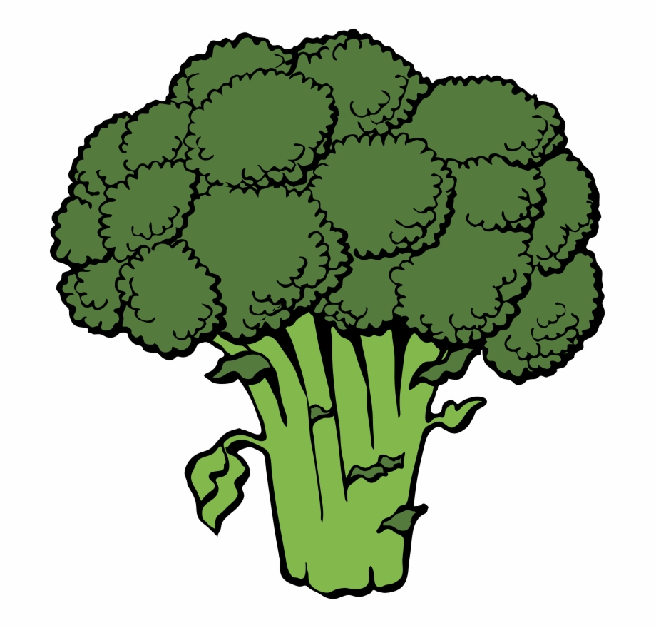 Broccoli clipart transparent background. Vegetables 