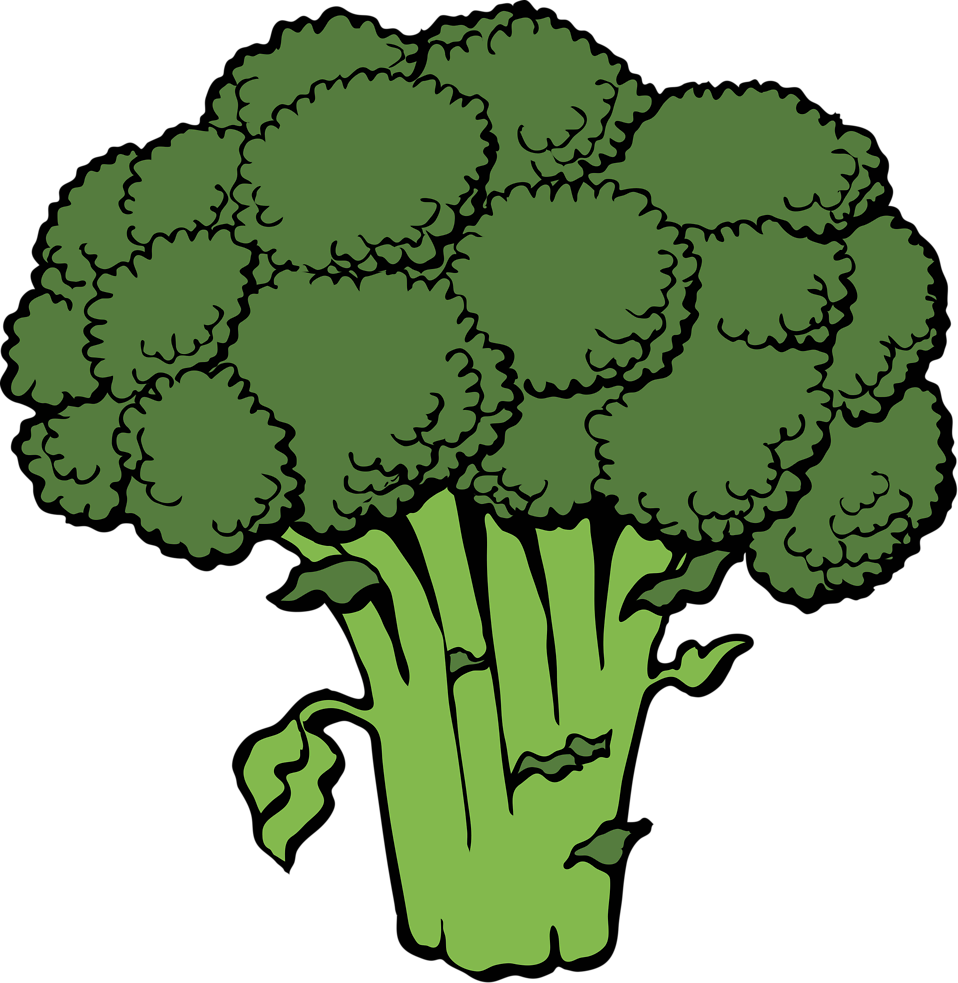 Pencil and in color. Broccoli clipart transparent background