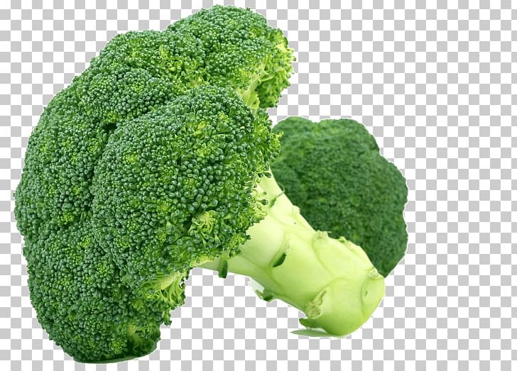 broccoli clipart useful food