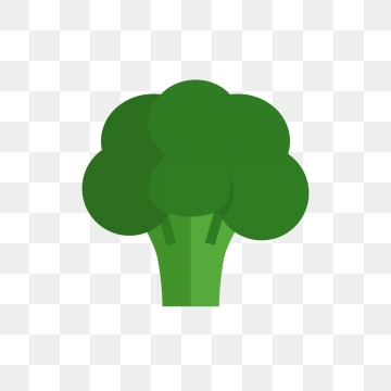 broccoli clipart vector