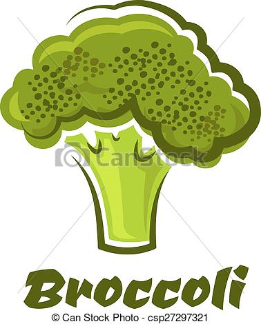 broccoli clipart vector