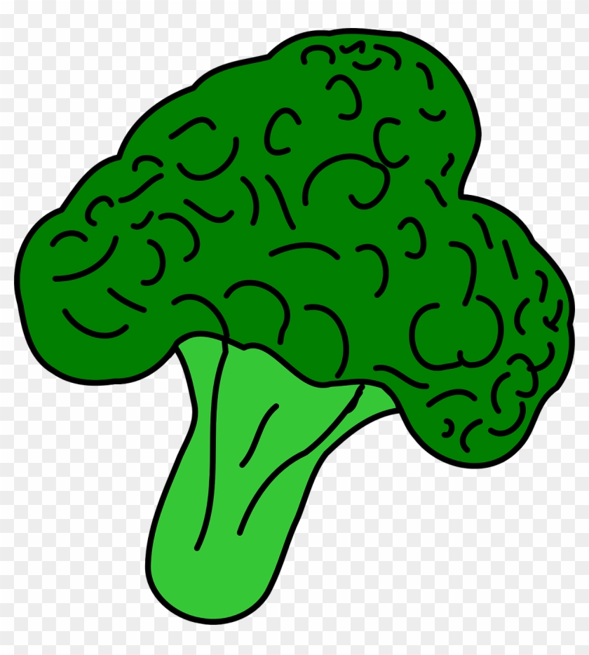 broccoli clipart vegatable