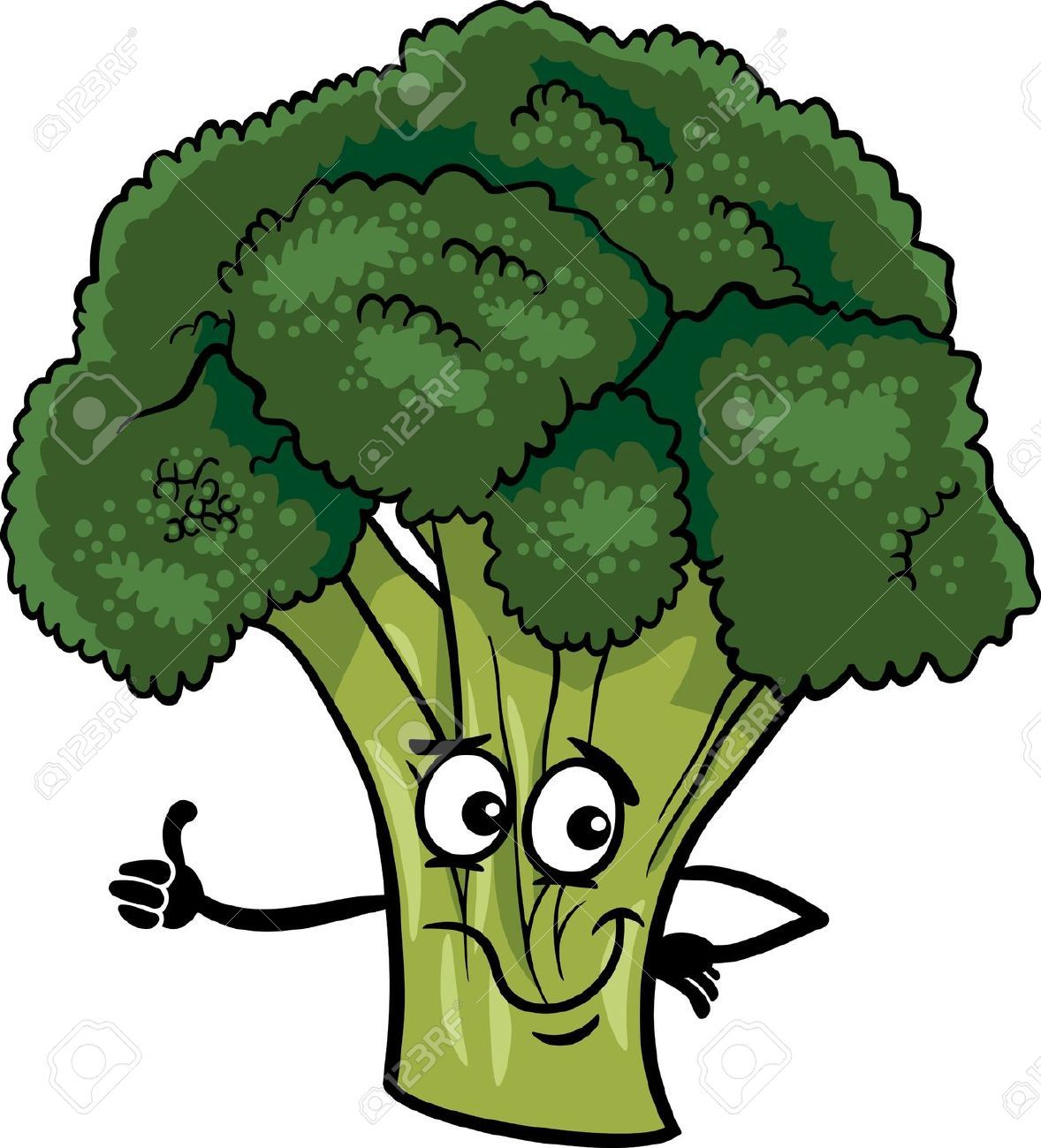 Broccoli vegitables