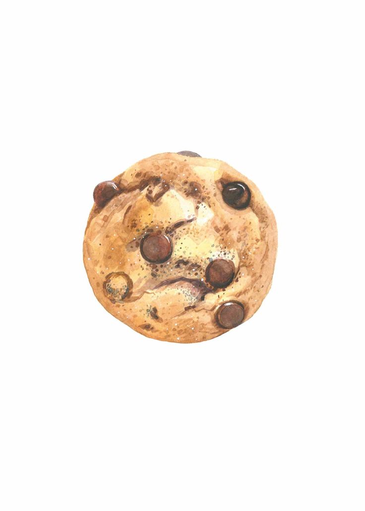 Download chocolate chip cookie. Brownies clipart biscuit