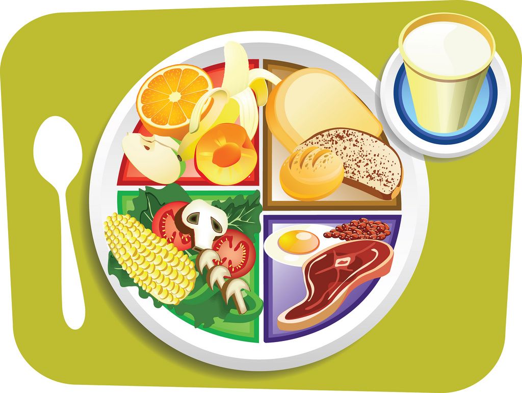 dishes clipart meal plate