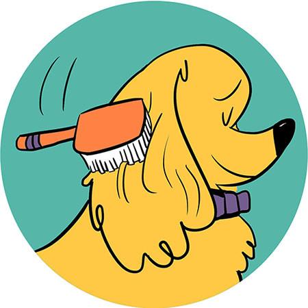 brush clipart dog brush