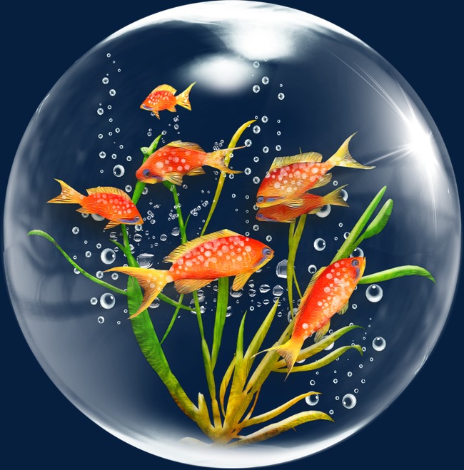 bubbles clipart seaweed