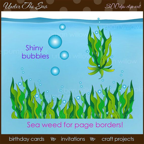 bubble clipart seaweed