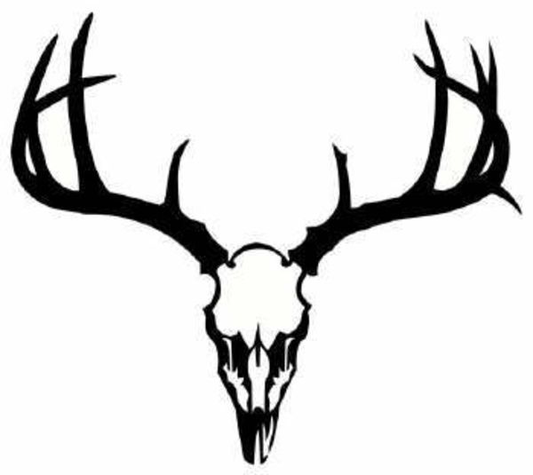 Buck clipart antler. Deer clip art use