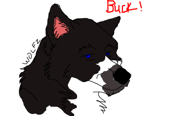 View topic from of. Buck clipart call the wild