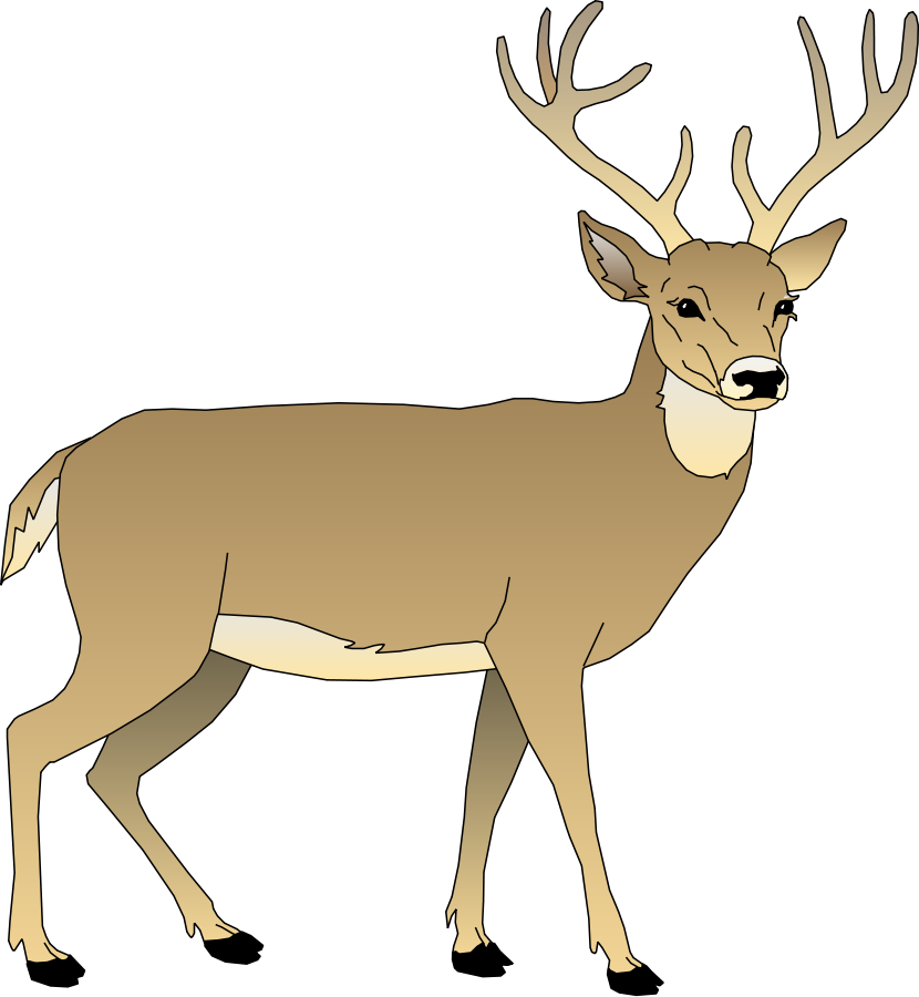 Clipart snow deer. Awesome buck whitetail images