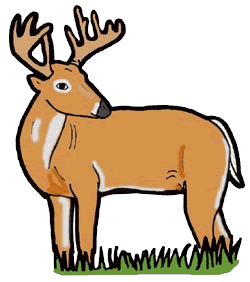 Bucks images gallery for. Deer clipart dear