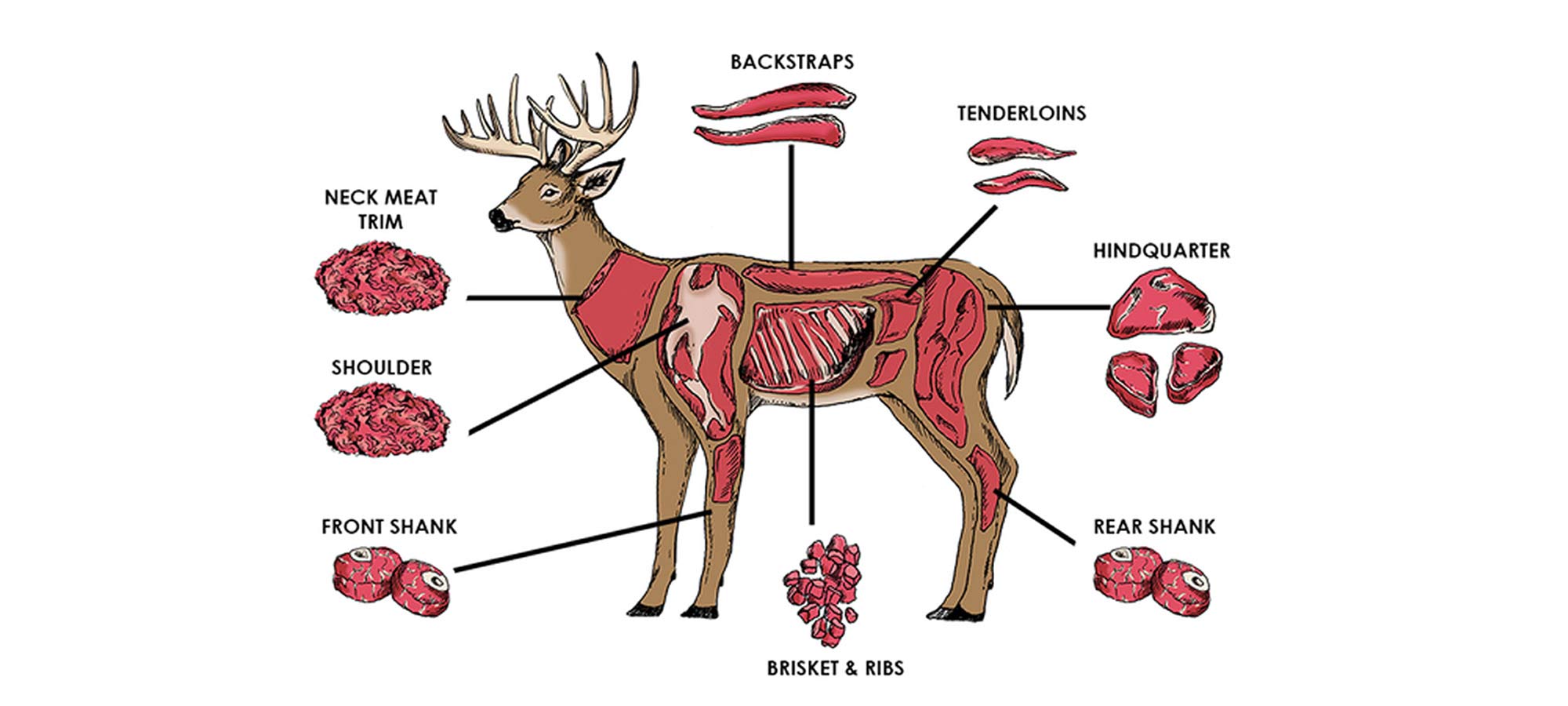 buck clipart deer meat