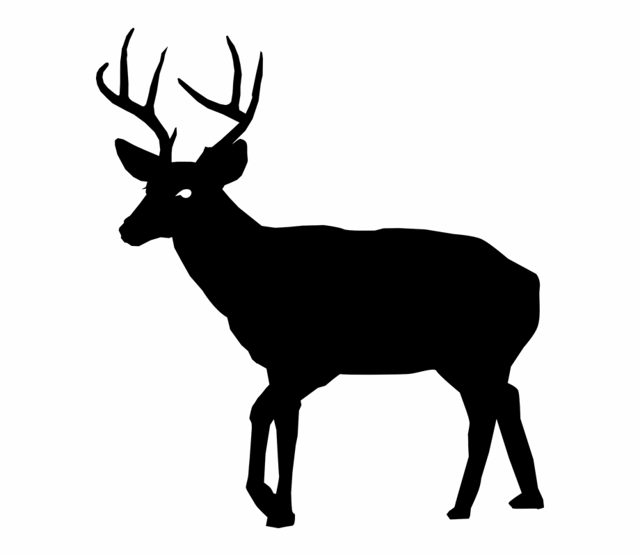 Deer clipart real deer. Buck silhouette transparent 