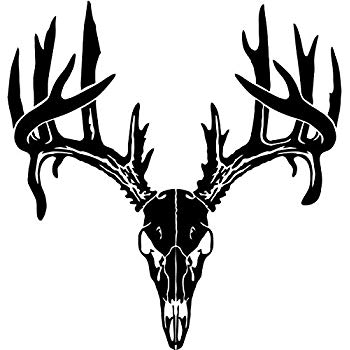 buck clipart deer skull