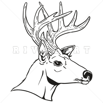 buck clipart drawing