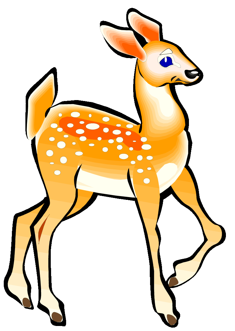  collection of deer. Woodland clipart fawn