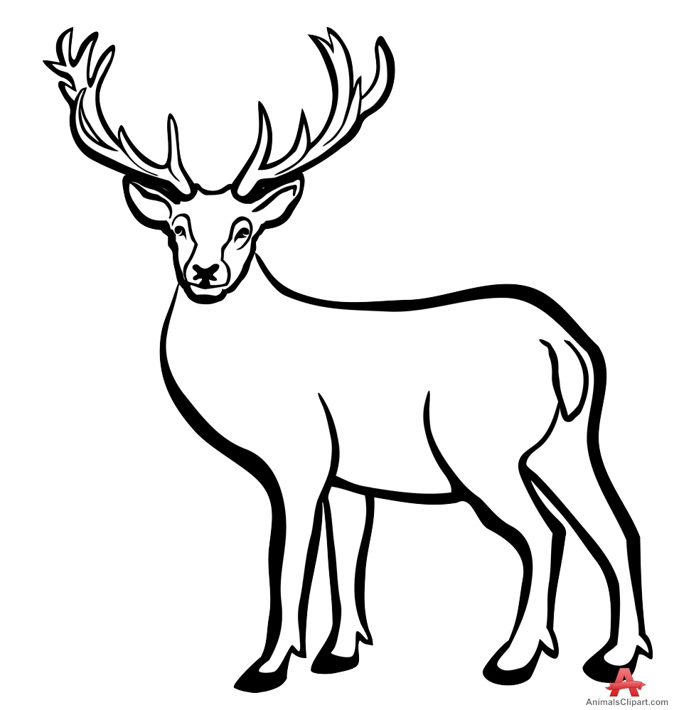Black and white free. Deer clipart antelope