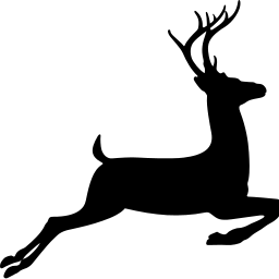 Running panda free images. Buck clipart real deer