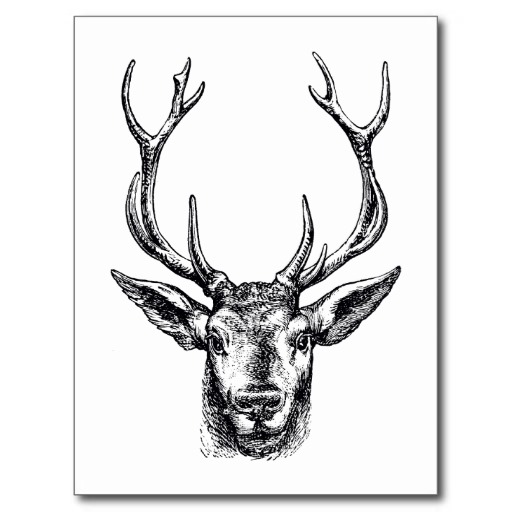Free cliparts download clip. Deer clipart vintage