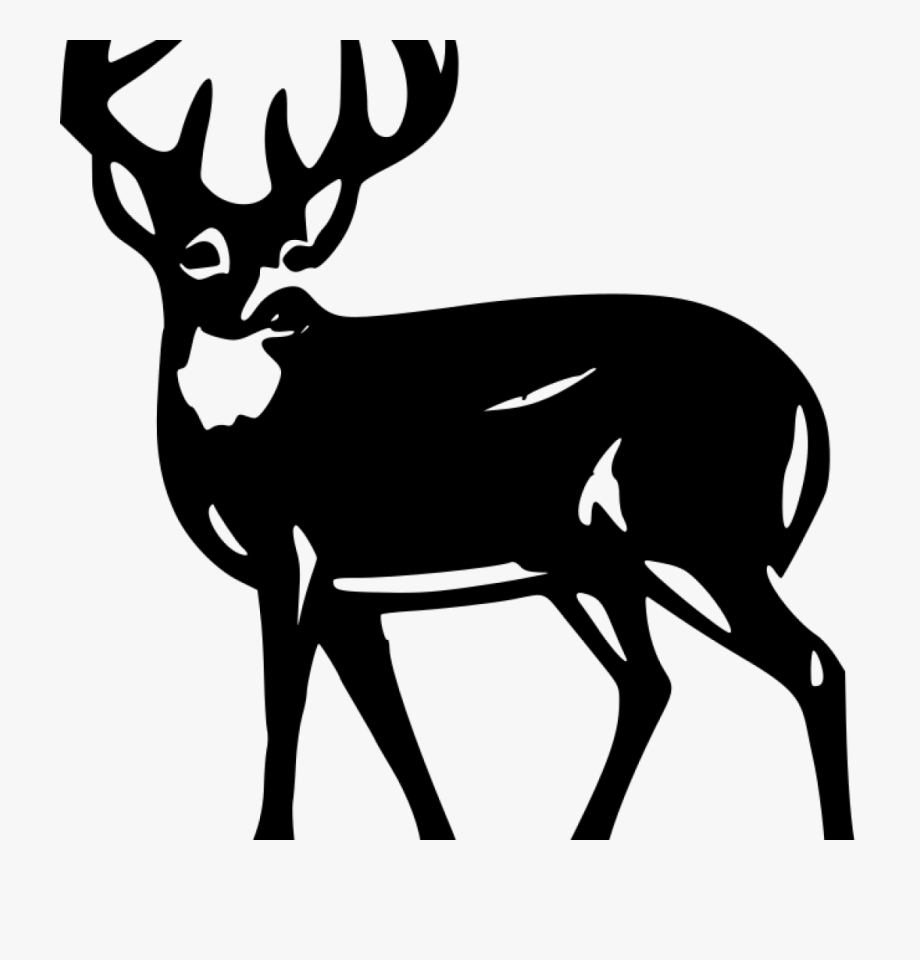 Buck clipart silhouette. Deer clip art white
