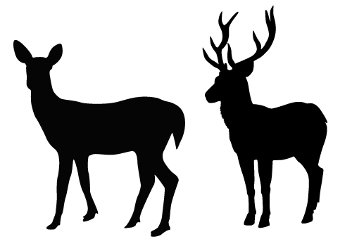 Deer at getdrawings com. Buck clipart silhouette